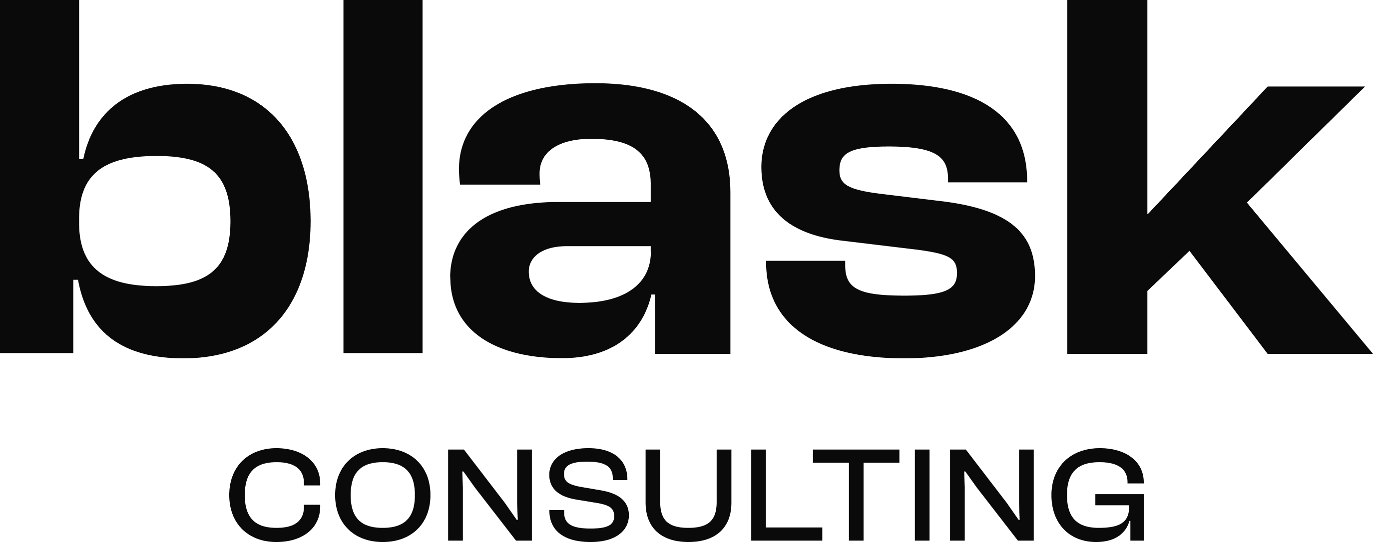 Blask Consulting partner inmarketing