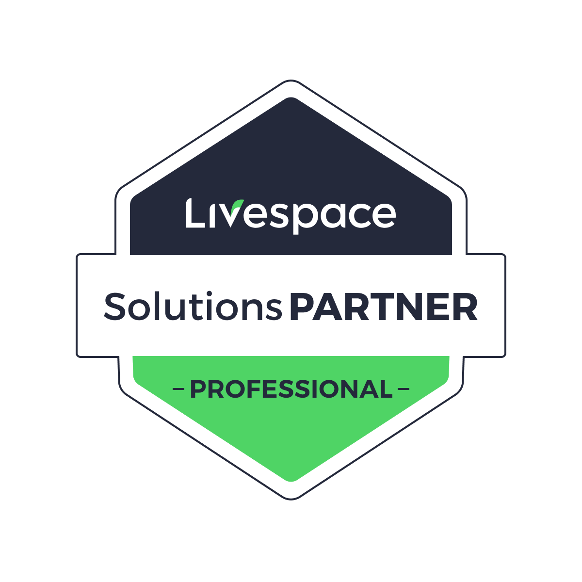 Professional Solutions